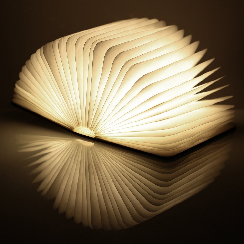 LED Book Light (black leather)