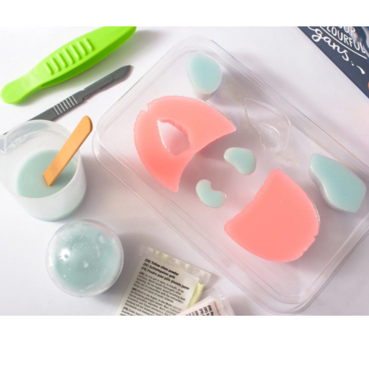 Squishy Organs Science Kit