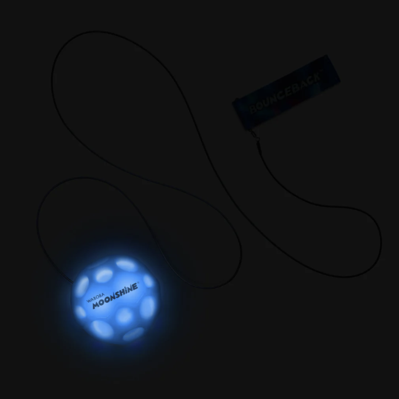 Waboba Light Up Bounceback Ball