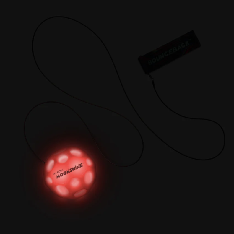 Waboba Light Up Bounceback Ball