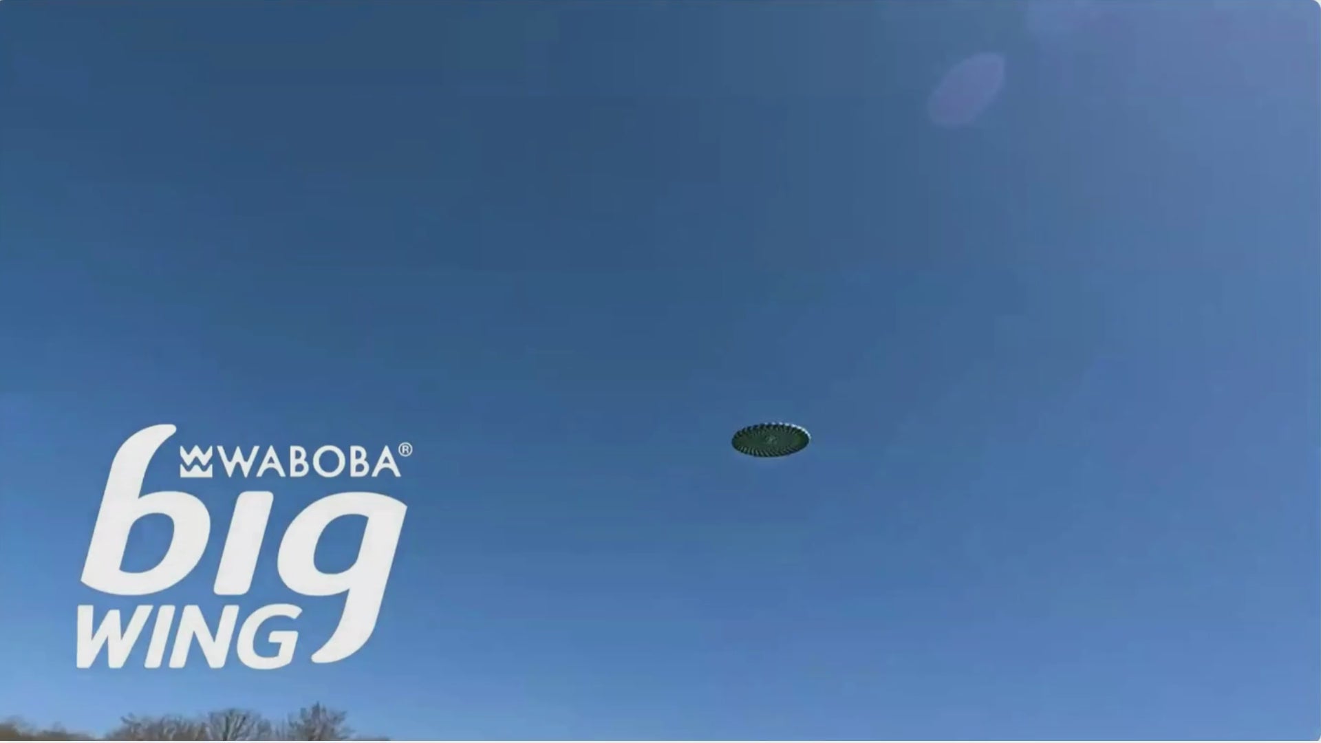 waboba bigwing frisbee video