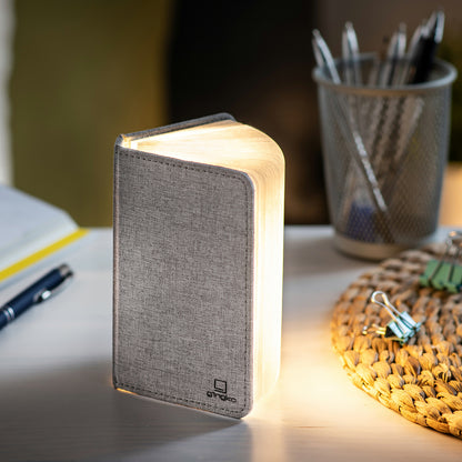 LED Book Light (small)