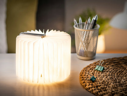 LED Book Light (small)
