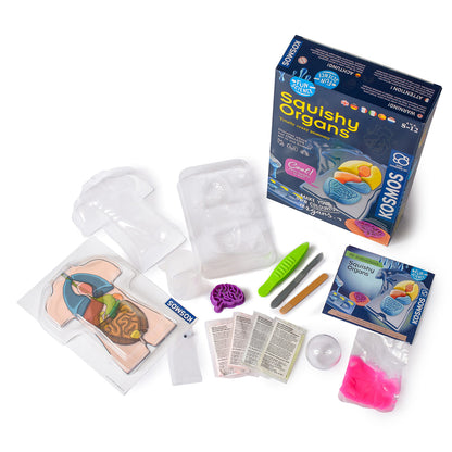 Squishy Organs Science Kit